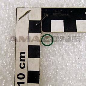 Dichtung Walform Ws-Wd 8L/S Vi Amazone FC363