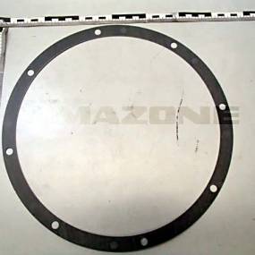 Dichtung F. 5253 Amazone YY00430