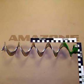 Spirale Re. Amazone ZE020