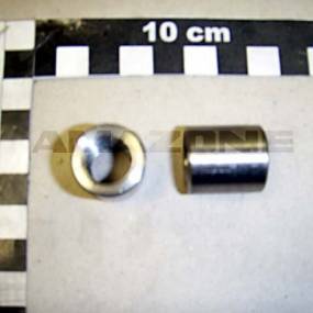 Buchse Amazone 935642