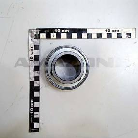 Spannlager 209 Ina Amazone CA054
