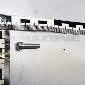 Zylinderschraube Iso 4762 5X20 8.8 Vz Amazone DA573