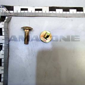 Flachrundschraube Din 603 6×20 8.8 Vz (Da657) Amazone