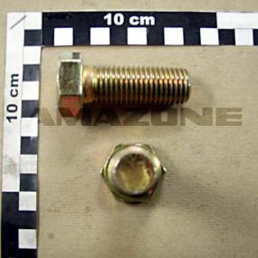 Sechskantschraube Iso 4017 20×55 8.8 Vz (Dc142) Amazone