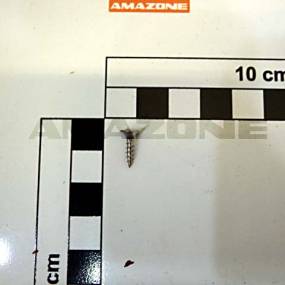 Holzschraube 3,0X12 Tx10 Va Amazone DD691