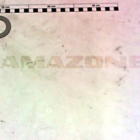Ausgleichscheibe 36X56X1 Alt: Df221 Amazone DF116