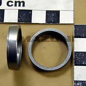 Wellenspannring 25X30X6,3 Amazone EH138