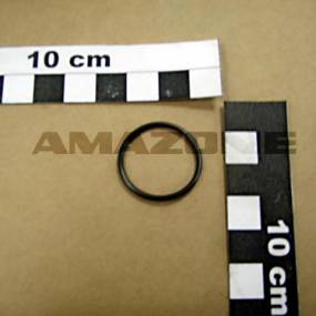 O-Ring 21,95X1,78 Amazone FC325