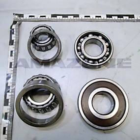 Lager (4 Stsck) (Yy00313) Amazone YY00313