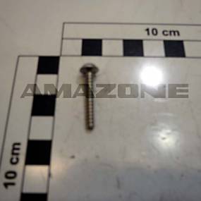 Halbrundkopfschraube 4X25 Tx20 Va Amazone DD604