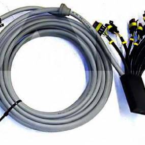 Kabelbaum F. 12 Reihen Ed Amascan+ Ed-Control Amazone NL091