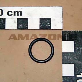 O-Ring 17,13X2,62 Amazone 0269600