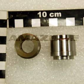 Fuehrung Amazone 914943