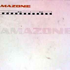 Bolzen A2 10X 57X 4X 49 (B10) Amazone 973051