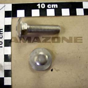 Flachrundschraube Din 603 12X50 Va Amazone DA100