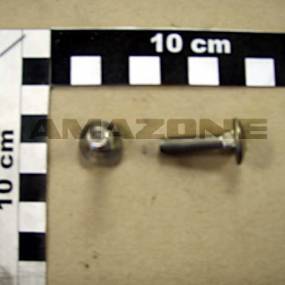 Flachrundschraube Din 603 6X25 Va Amazone DA482