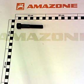 Zylinderschraube Iso 4762 12X70 14.9 Amazone DA597