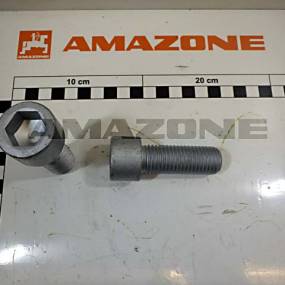 Zylinderschraube Iso 4762 20X55 10.9 Vz Amazone DA912