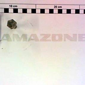 Sechskantschraube Iso 4017 10×60 Va (Dc237) Amazone