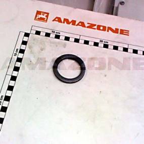 Scheibe Iso 8738 45X60X6 St Amazone DF226