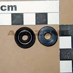 Nutring 6X16X5 (Fc073) Amazone