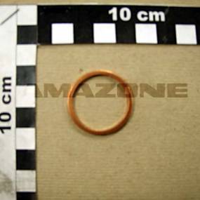 Dichtring Din 7603A 26X31 Cu Amazone Y593534