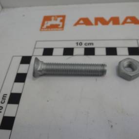 Planetenschraube, 10X60, 10.9 Amazone 214331