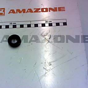 Buchse Amazone 221858