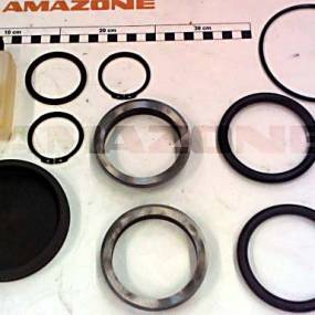 Dichtsatz Certos Ohne Lager Amazone 72101053