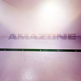 Schlagleiste Lgbs180 Amazone 992019