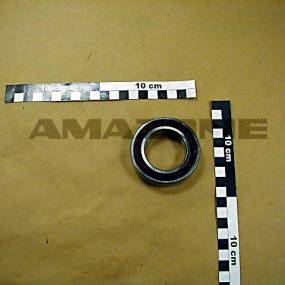 Rillenkugellager (Ca104) Amazone