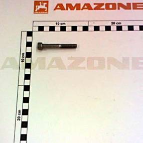 Zylinderschraube Iso 4762 8×60 Va (Da557) Amazone