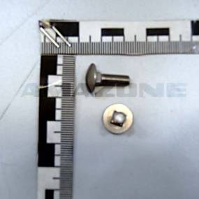 Flachrundschraube Din 603 5×16 Va (Da879) Amazone