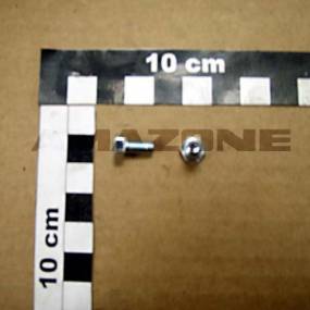 Sechskantschraube Iso 4017 5X10 8.8 Vz Amazone DC004