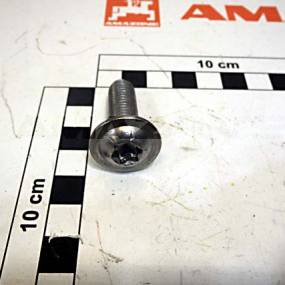 Halbrundkopfschraube Din 34805-2 10×30 Tx50 Va (Dd694) Amazone