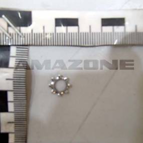 Zahnscheibe 6797 5,3 A2 Amazone DF253