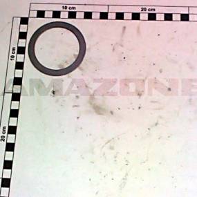 Passscheibe Din 988 56X 72X1 (Dl060) Amazone