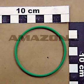 O-Ring 55,20X2,60 Amazone FC302