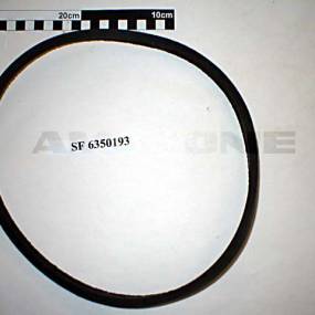 Keilriemen A34 13X 8X 850 Klimaanlage Bis Bj 2003 (Sf6350193) Amazone