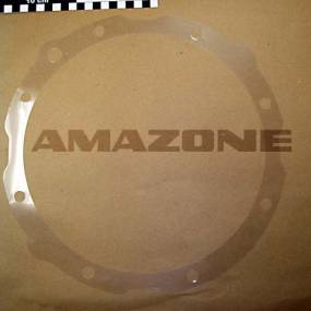 Dichtung F. 5140 Wst.mylar H=0.10 Amazone Y298328600