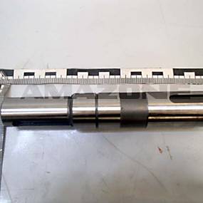 Welle Amazone YY00284