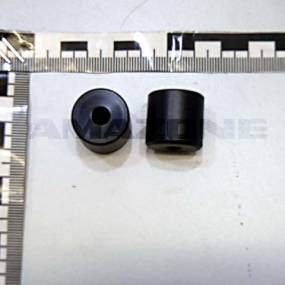 Zapfen Amazone 206021