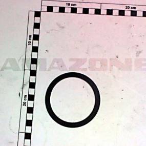 Dichtscheibe Amazone 943871
