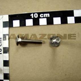 Flachrundschraube Din 603 6X35 Va Amazone DA761