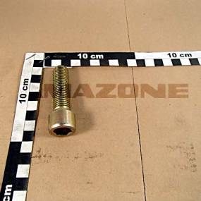 Zylinderschraube Iso 4762 16X55 8.8 Vz Amazone DA931