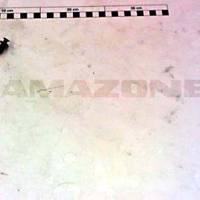 Schraub-Bli-Nt 8,0-8,5 Amazone DH143