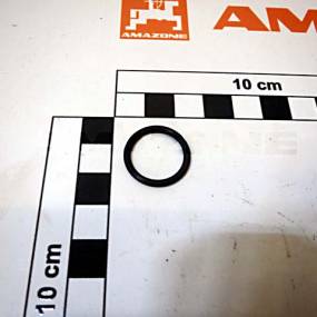 O-Ring 16,36X2,20 Amazone FC519