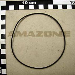 Runddichtring Dia 110X2 Amazone Y4506876