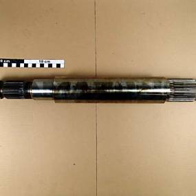 Welle Amazone Y554496