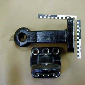 Zugöse Amazone 103551403